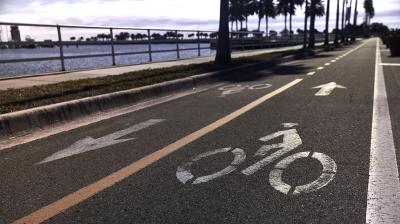 Trek Allant+ 6 Lowstep L Juniper 800 Produktbild 2