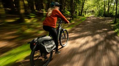 Trek Powerfly+ 4 EU XL 29 Matte Mercury/Gloss Power Sur Produktbild 5